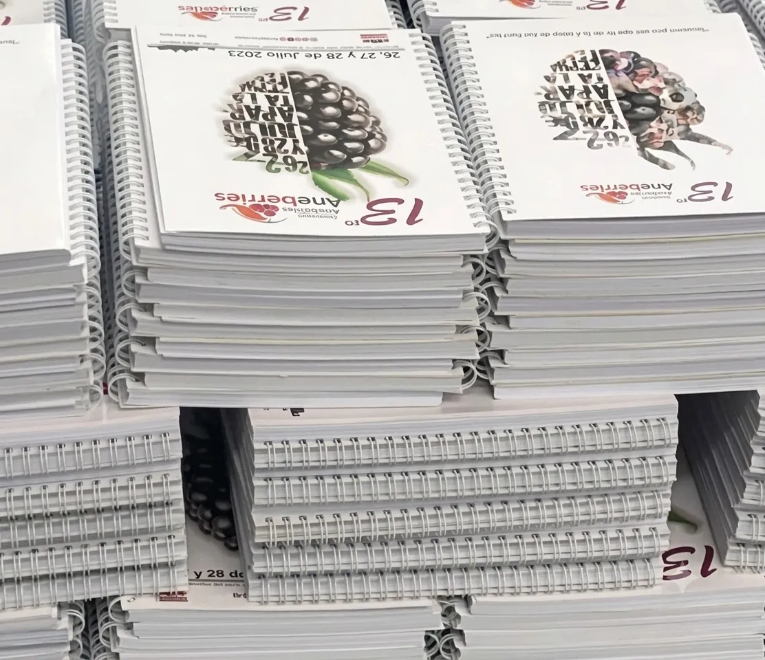  Imprenta en Guadalajara: Fotografía de una gran cantidad de cuadernos de pasta color blanco apilados.